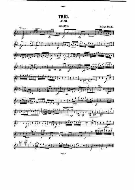 Violin