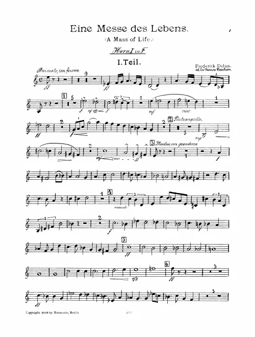 Horn 1 (F/E/E♭)