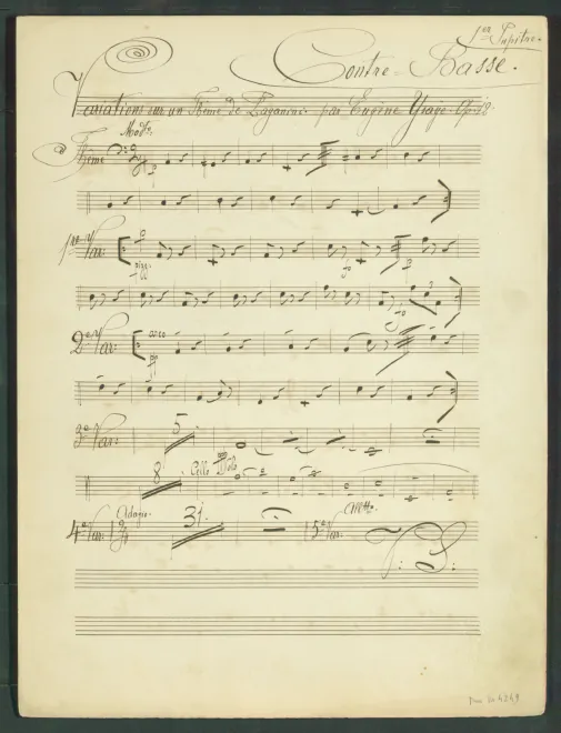 Contrabasses