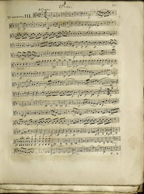 Viola