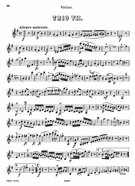 Violin