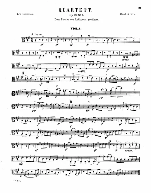 Viola