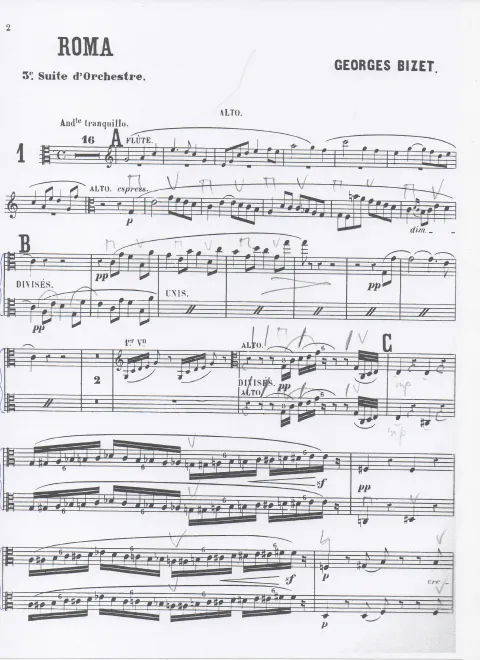 Violas