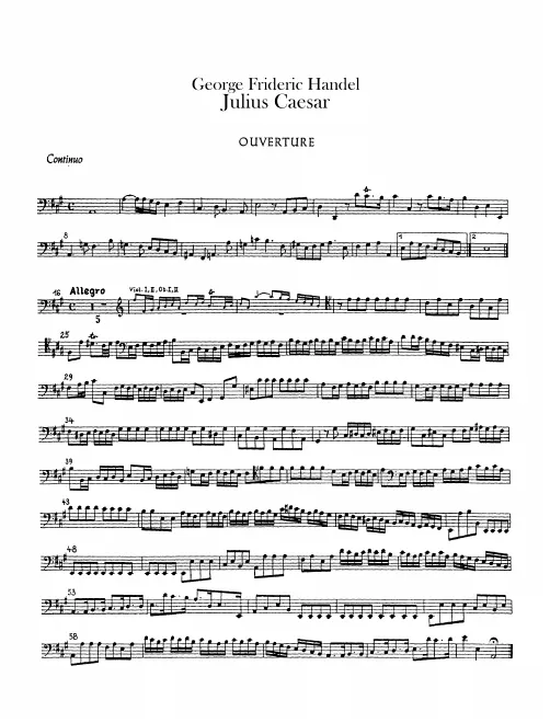 Continuo (Cello/Bass)
