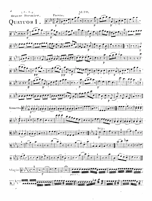 Viola