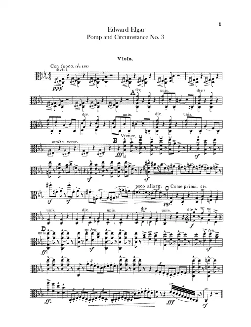 Violas