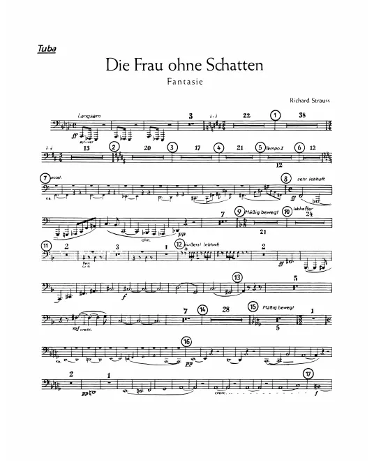 Tuba