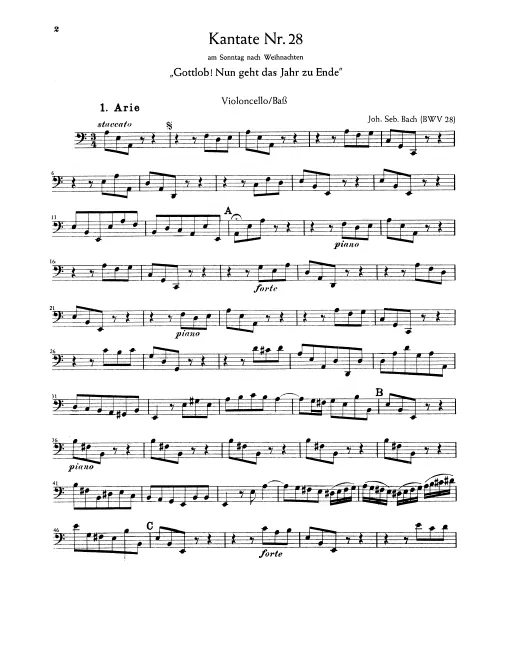 Cellos/Basses