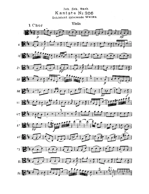 Violas