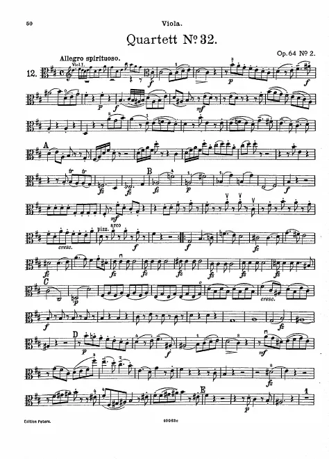 Viola