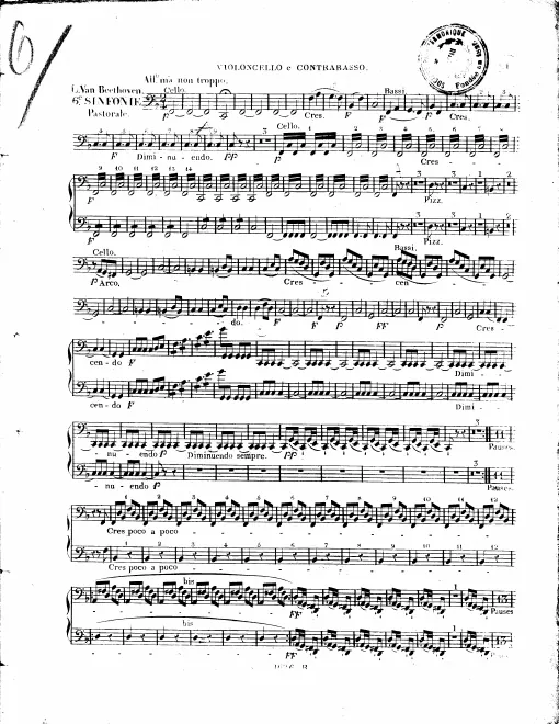 Cellos/Basses