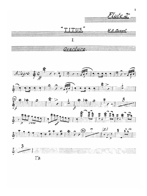 Flute 2