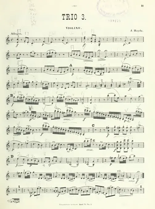 Violin