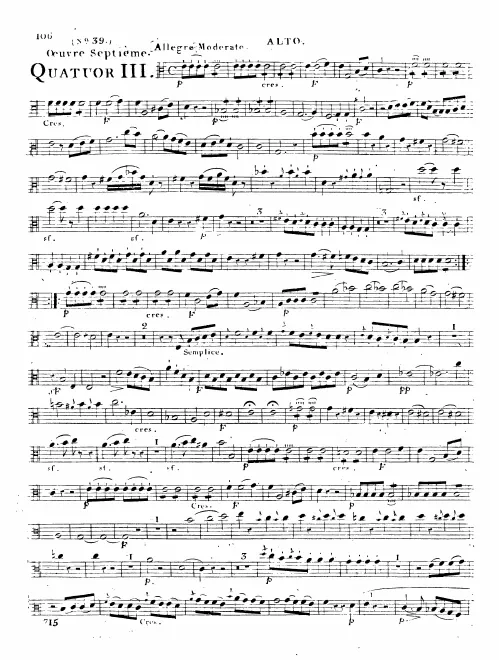 Viola