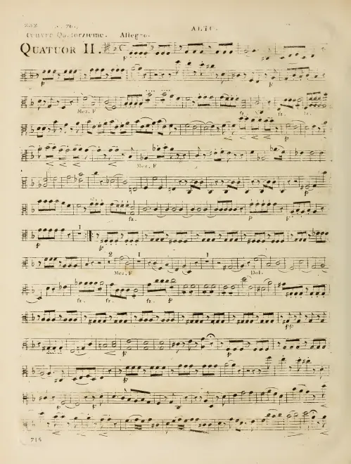 Viola