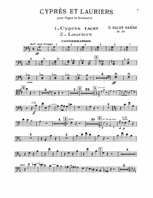 Basses