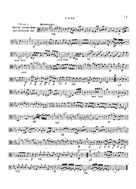 Viola