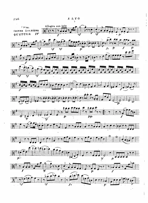 Viola