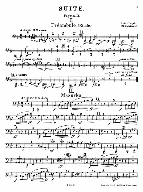 Bassoon 2