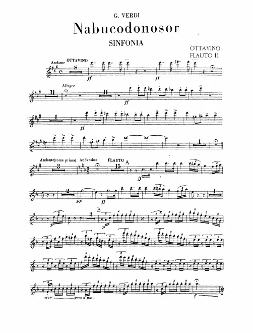 Flute 2/Piccolo