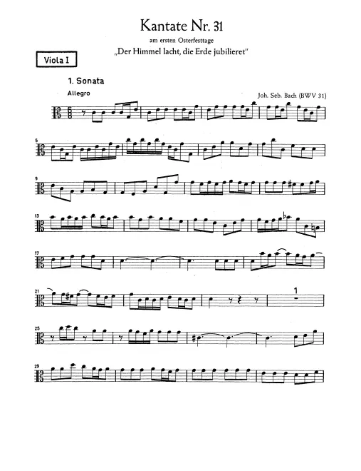 Violas I
