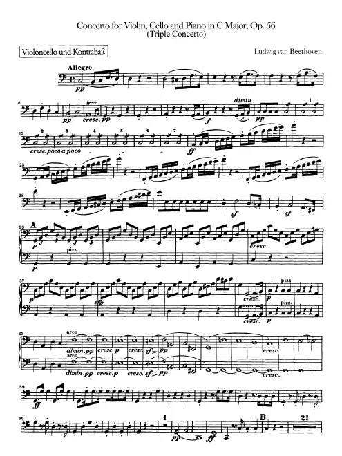 Cellos/Basses