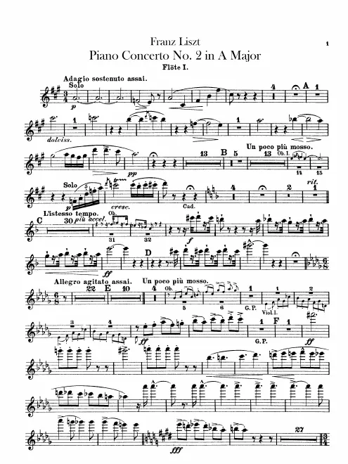 Flute 1