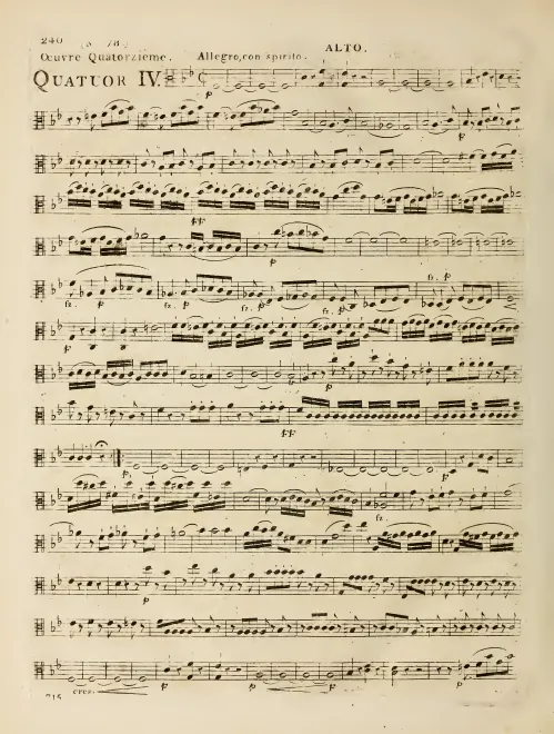 Viola
