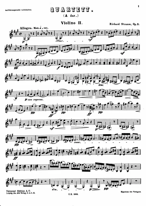 Violin 2