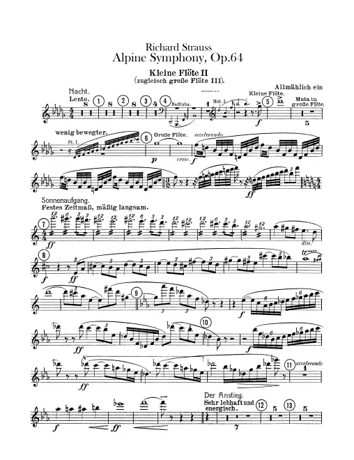 Flute 3/Piccolo 2