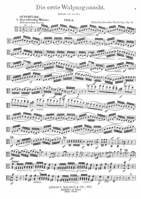 Violas