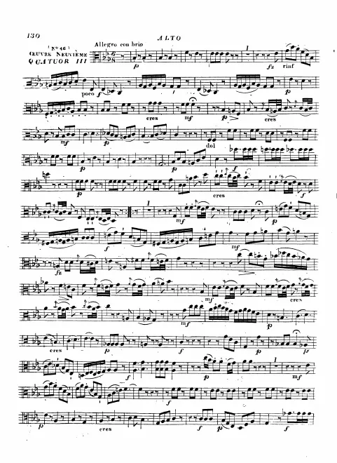 Viola
