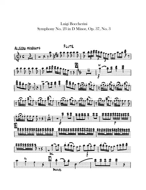 Flute