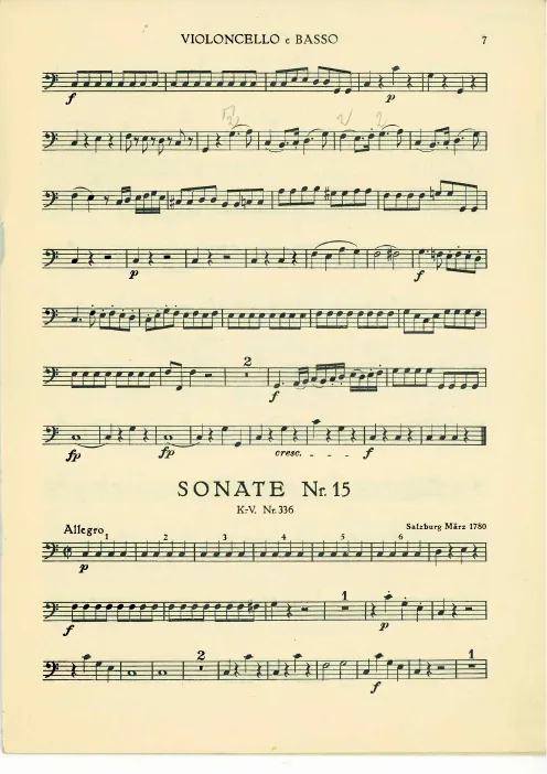 Cello/Double Bass