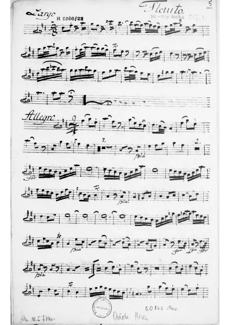 Flute