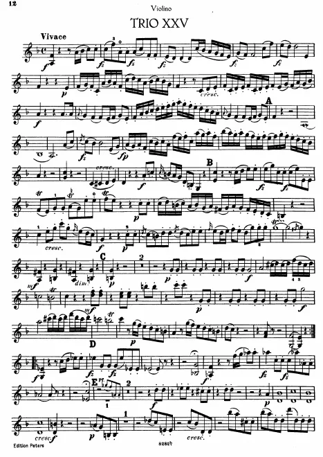 Violin
