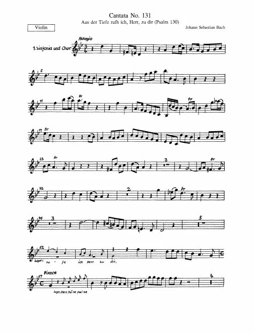 Violin(s) (I)
