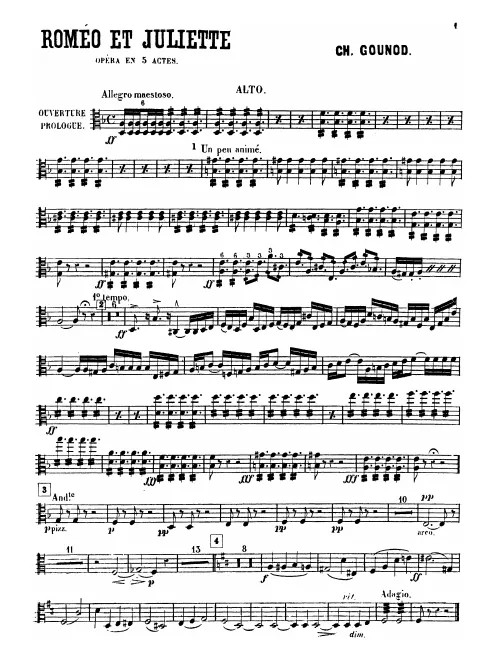 Violas
