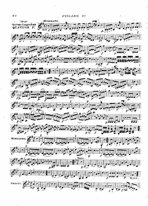 Violin 2
