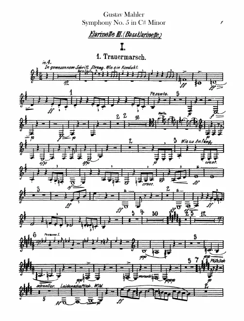Clarinet 3 (A/B/C)/Piccolo Clarinet (D)/Bass Clarinet (B)