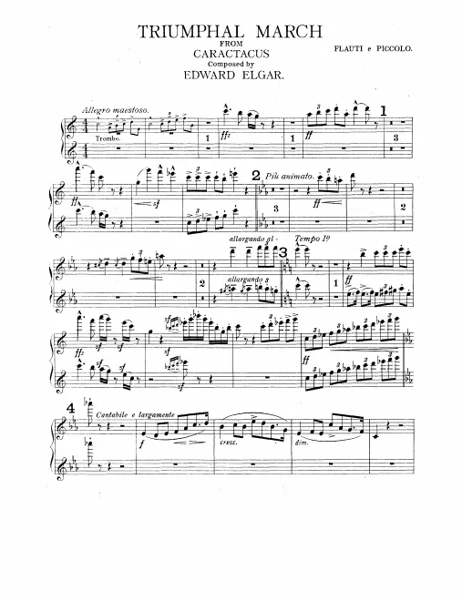Flute/Piccolo