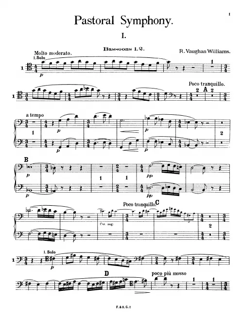 Bassoon 1/2