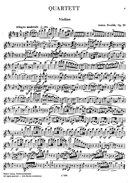 Violin