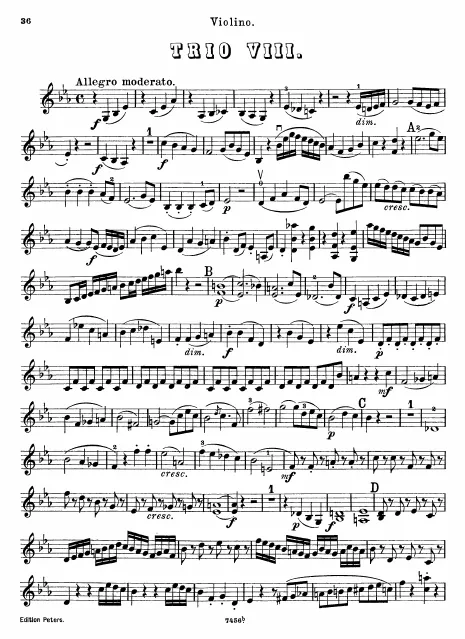 Violin