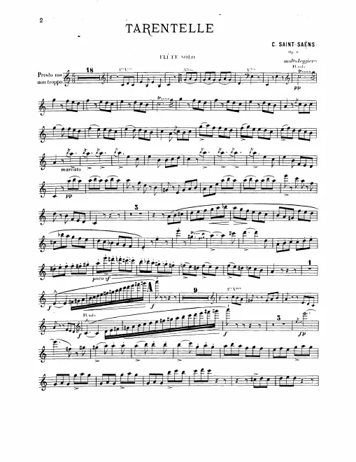 Flute solo