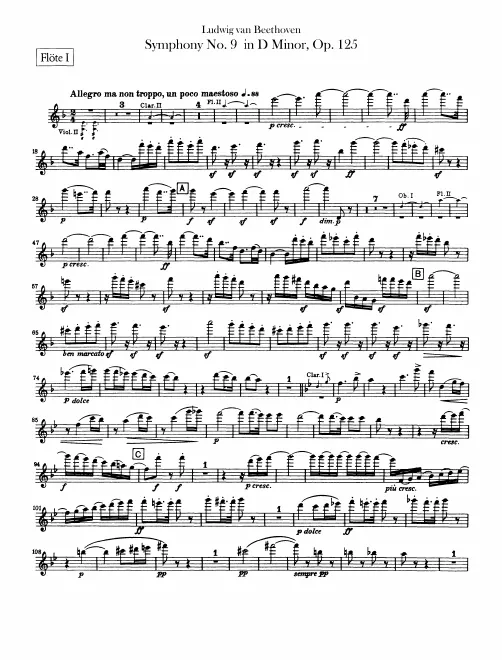 Flute 1