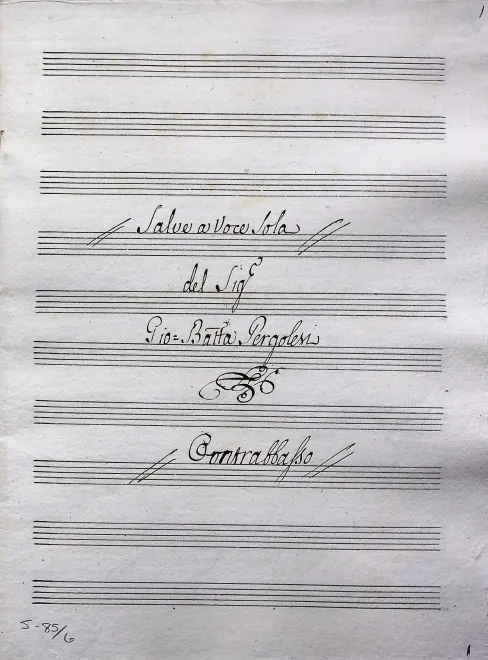 Contrabasses