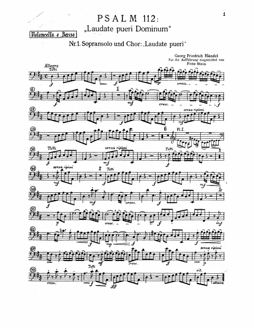 Cellos/Basses