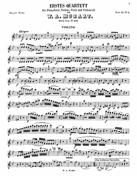 Violin