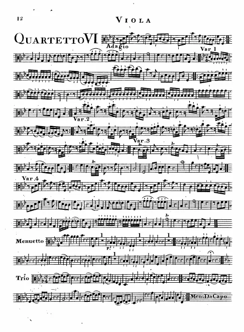 Viola